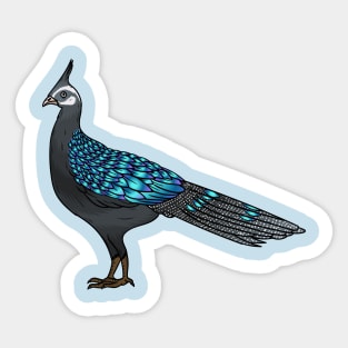 Palawan peacock pheasant bird cartoon illustration Sticker